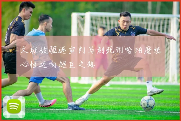 文班被驱逐宣判马刺死刑哈珀磨练心性迈向超巨之路