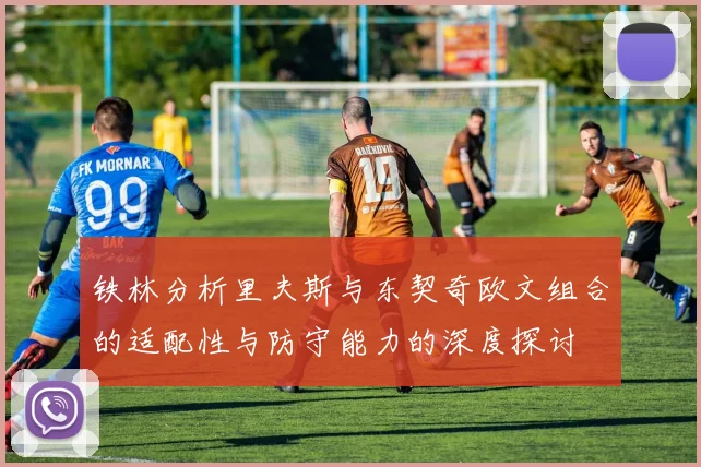 铁林分析里夫斯与东契奇欧文组合的适配性与防守能力的深度探讨